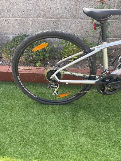 trek dual sport 2