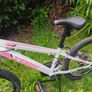 mountain bike Image 7