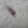 Pandora  pink/blue butterfly arrangement spacer very good condition Image 2