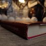 The New Silk Roads: The Present and Future of the World ! Hardcover ! 2018 ! by Bloomsbury ! Image 6