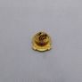 St. Catherines Girls School , Melbourne ,  Australia. Lapel Pin Badge Image 2
