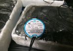 Lighting motors each