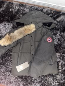 canada goose