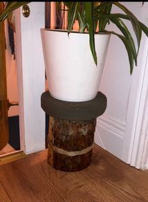 Plant holder