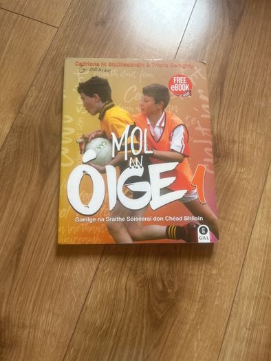 Mol an oige Irish junior cert books