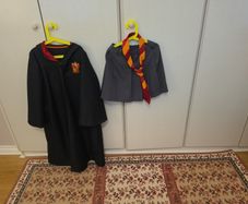 Harry Potter girls costume