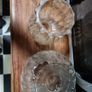 Vintage glass light fixtures Image 10