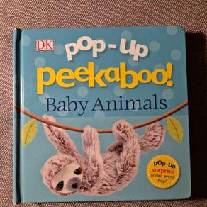 Pop-Up Book