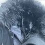 The Kooples Wool Duffle Coat with Fur Hood Image 7