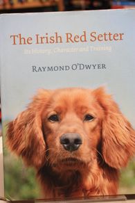 The Irish Red Setter
