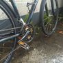 Kellys Saphix Crossbike  bicycle Image 4