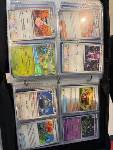 Pokemon TCG Card Collection (480 Cards)