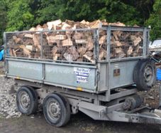 Fire wood seasoned Ash
