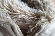 Gorgeous M&amp;S Coat with Feature Hood Age 2 to 3 Yrs