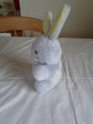 Cuddly Bunny Rabbit for Sale