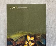 Voya detoxifying seaweed bath