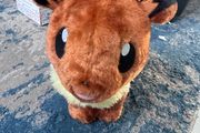Pokemon Build a bear Evie