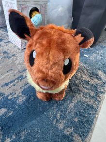 Pokemon Build a bear Evie