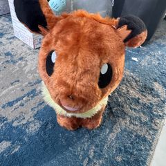 Pokemon Build a bear Evie