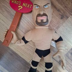 WWF WCW ECW Figures and Accessories
