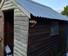 Garden Shed
