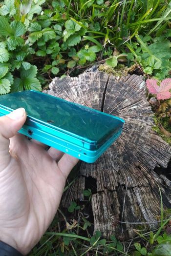 Nintendo 3DS with Luma3DS(Homebrew Launcher)