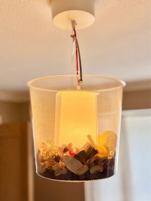 Hall Ceiling Light