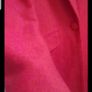 Red coat Image 2