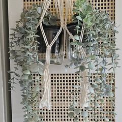 Set 2 Pendants plants