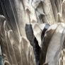 Incredibly Healing Spiritual Smudge Wand Taxidermy Wings Bone Art and Rose Quartz Crystal Wall Decor Display Image 6