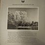 Forest Images. Fr Browne's Woodland Photographs From Emo Court Co Laois. Fabolous FIRST EDITION Large Volume Hardback In Good Condition.  See Photos For Same. Image 5