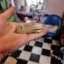 Hand-carved marble/alabaster turtle ashtray or ornament Image 6