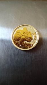 Gold coin koala