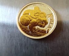 Gold coin koala