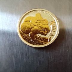 Gold coin koala