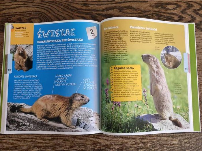 Polish Children's Nature Book, Age 6+