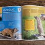 Polish Children's Nature Book, Age 6+ Image 9