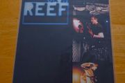 Reef - Glow