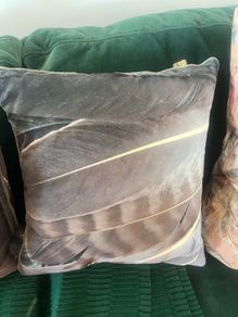 4 Scatterbox Cushions