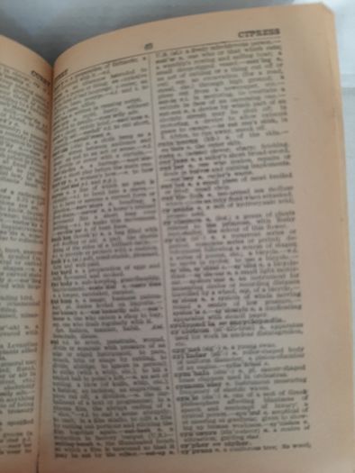 vintage dictionary 1972