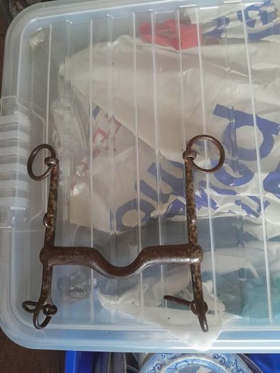 old horse Bits