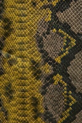 ZARA  shiny SNAKESKIN print skirt bloggers favourite