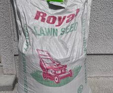Lawn seed