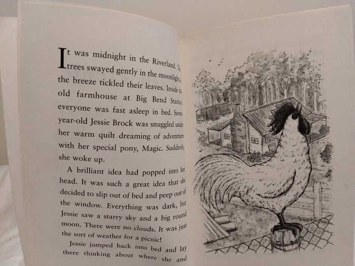 A Pony Called Magic Children,s Story Book