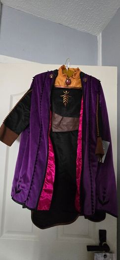 Anna Costume