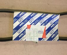 Alternator Belt (Fiat Tipo Tempra 1.6)