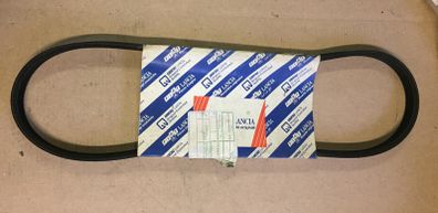 Alternator Belt (Fiat Tipo Tempra 1.6)