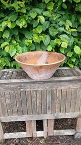 garden pots
