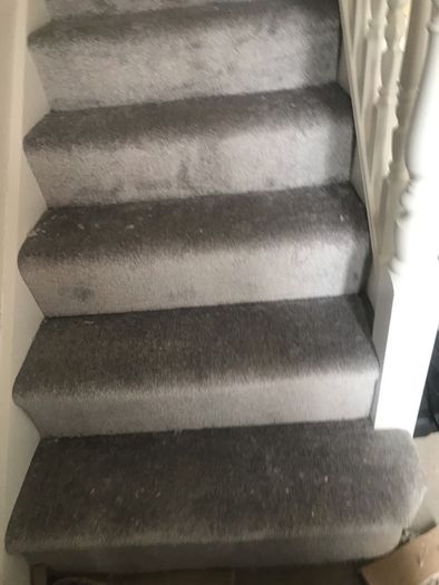 Carpet