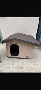 dog house